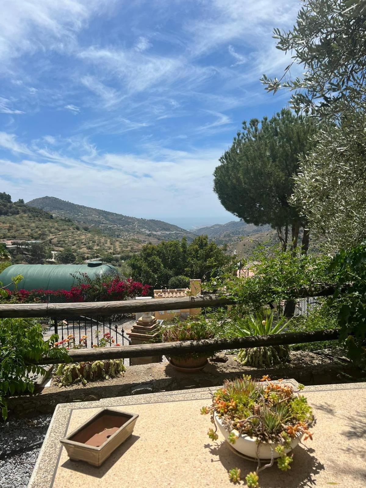 Los Olivos Málaga Extérieur photo